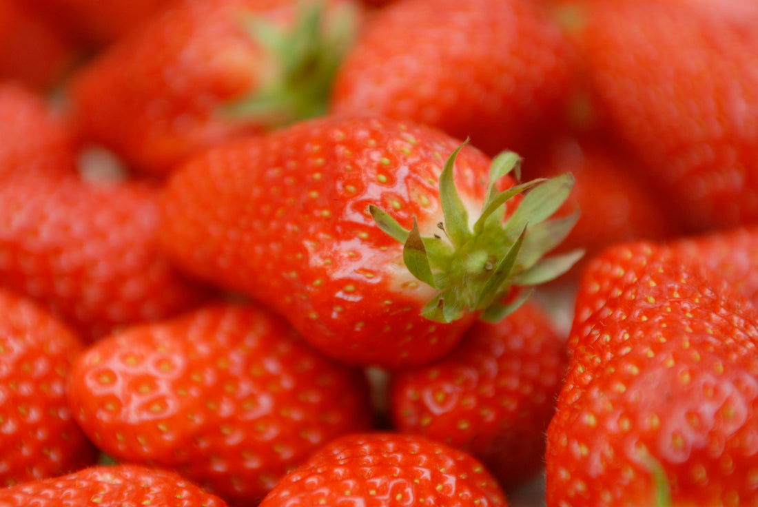 Erdbeerkonfitüre mit Tradition