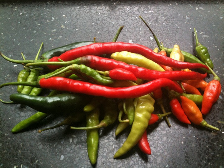Chilischoten aus Indonesien