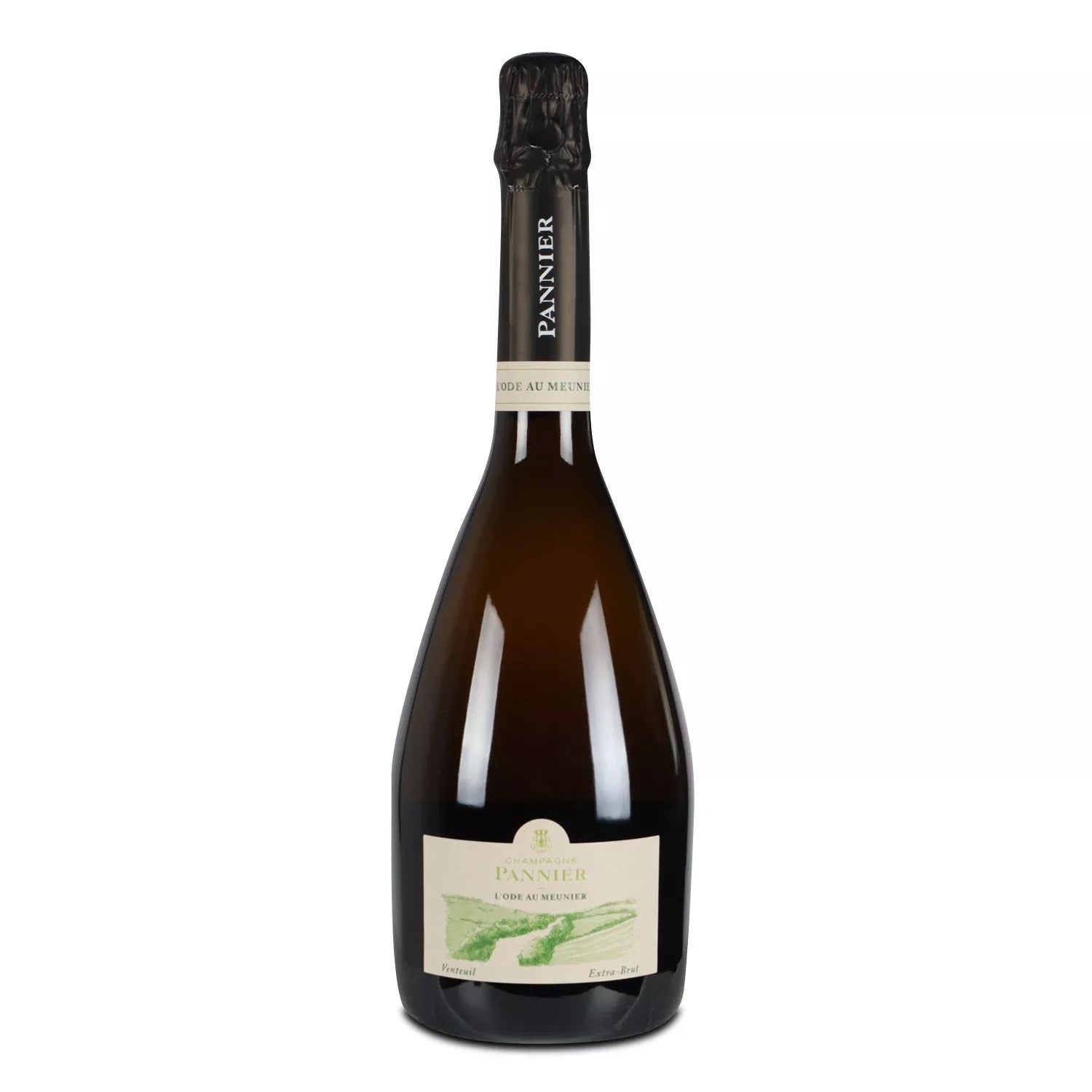 Flasche Champagner aus der Lage Venteuil